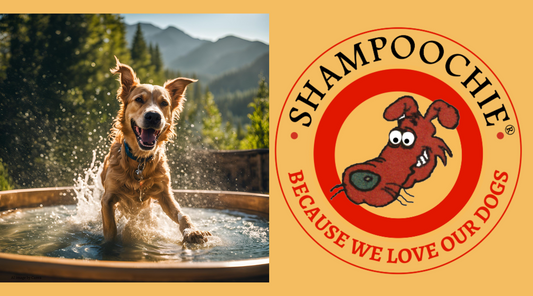 dog taking bath in outdoor tub with trees and mountains in background next to a shampoochie logo