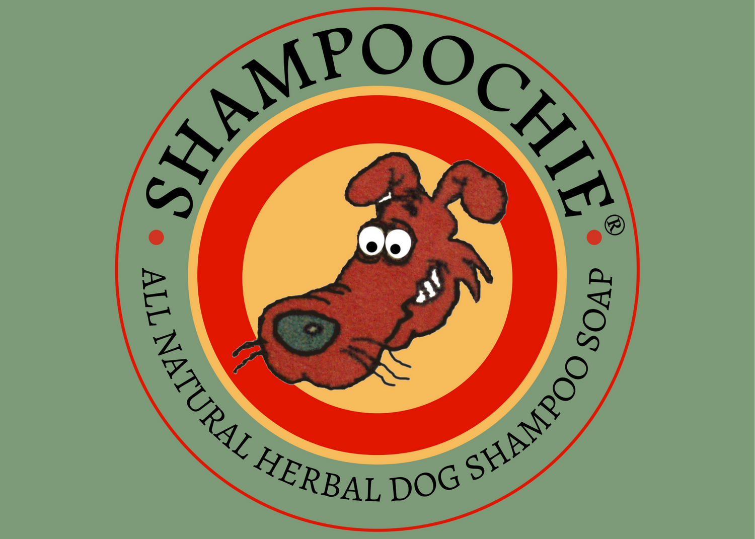 Shampoochie