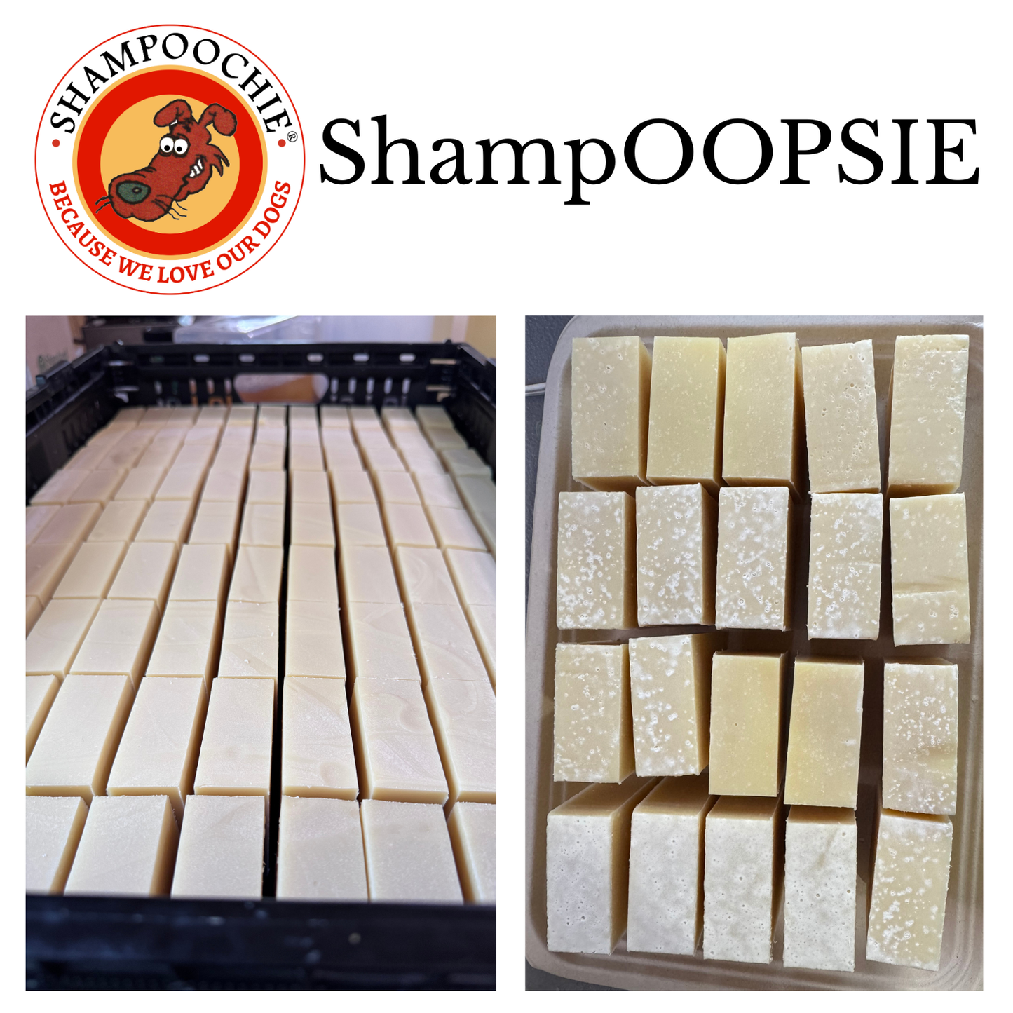 ShampOOPSie