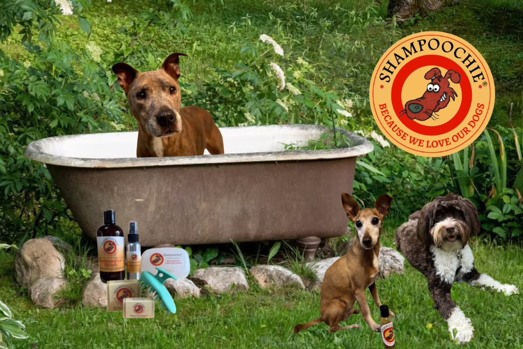 Dog in a bathtub with Shampoochie products and branding in a garden setting